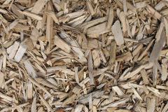 biomass boilers Bentwichen